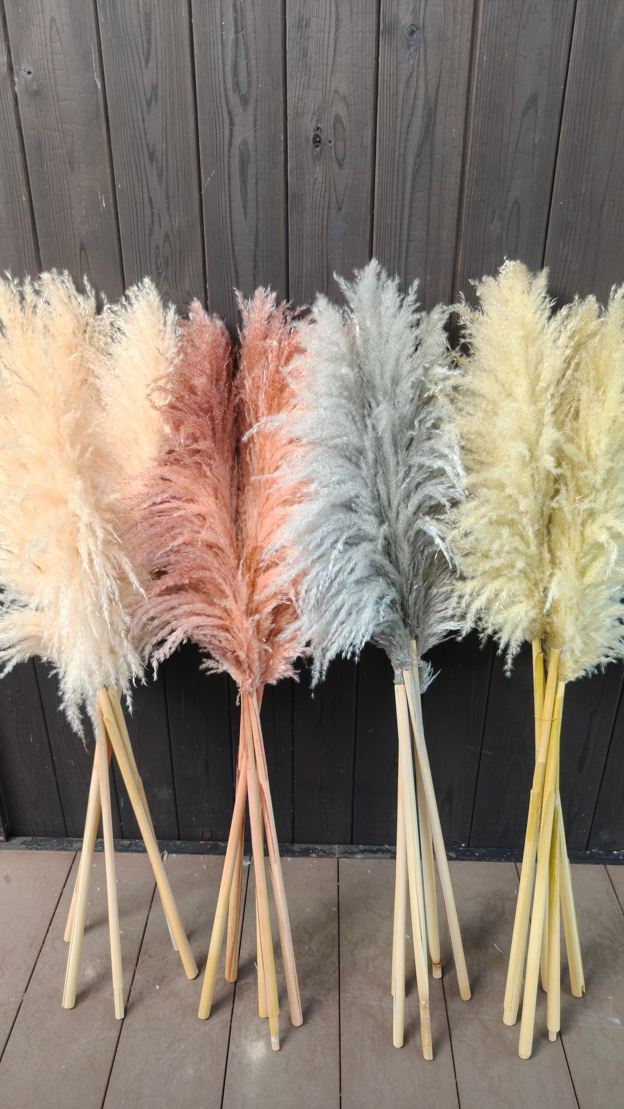 今季!秋冬カラーのパンパスグラス 開店祝い 花 ドライフラワー インテリア ウェディング 大人クリスマス2025 | 5枚目